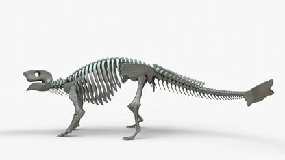 Ankylosaurus 3D Model Rigged Skeleton