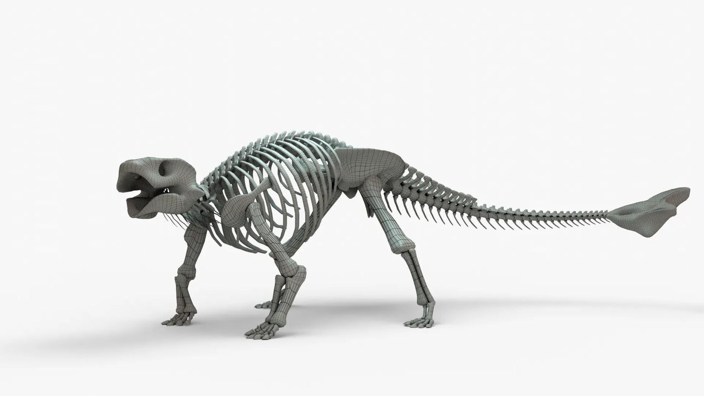 Ankylosaurus 3D Model Rigged Skeleton