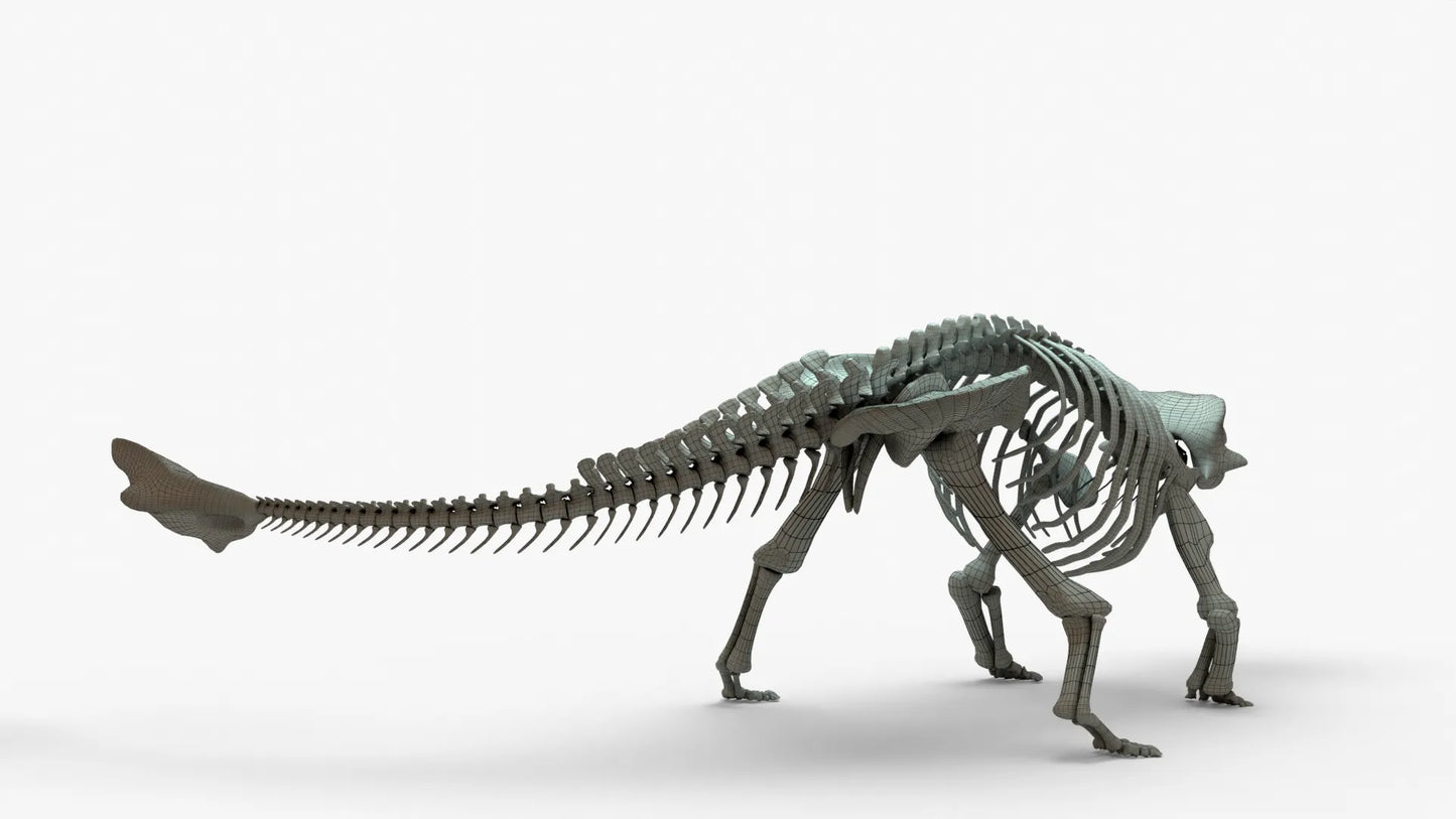 Ankylosaurus 3D Model Rigged Skeleton