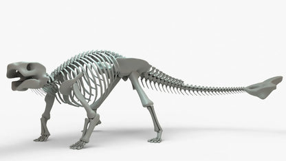 Ankylosaurus 3D Model Rigged Basemesh Skeleton