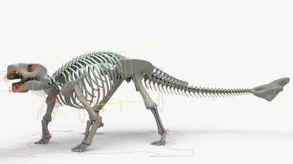 Ankylosaurus 3D Model Rigged Skeleton