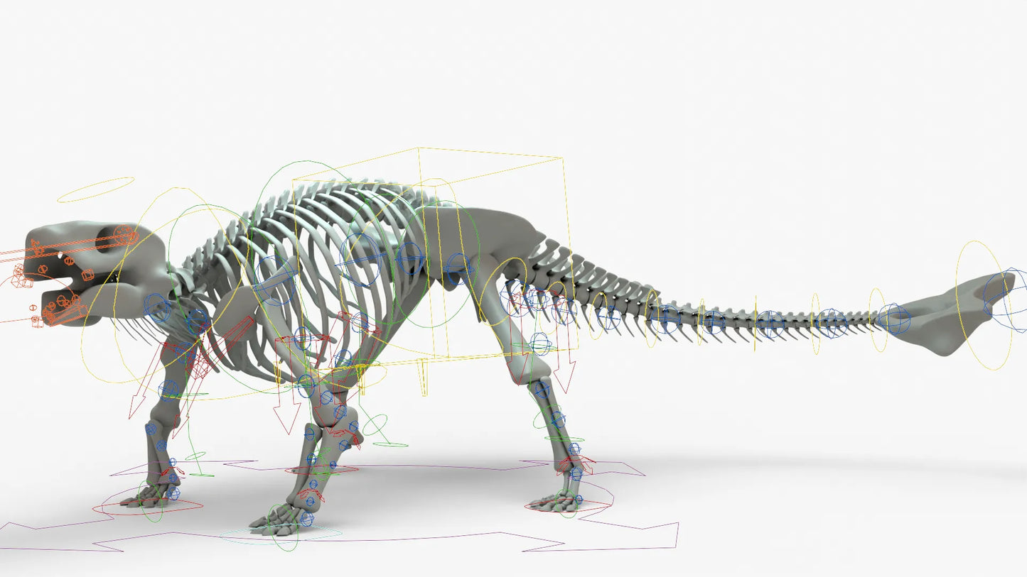 Ankylosaurus 3D Model Rigged Skeleton