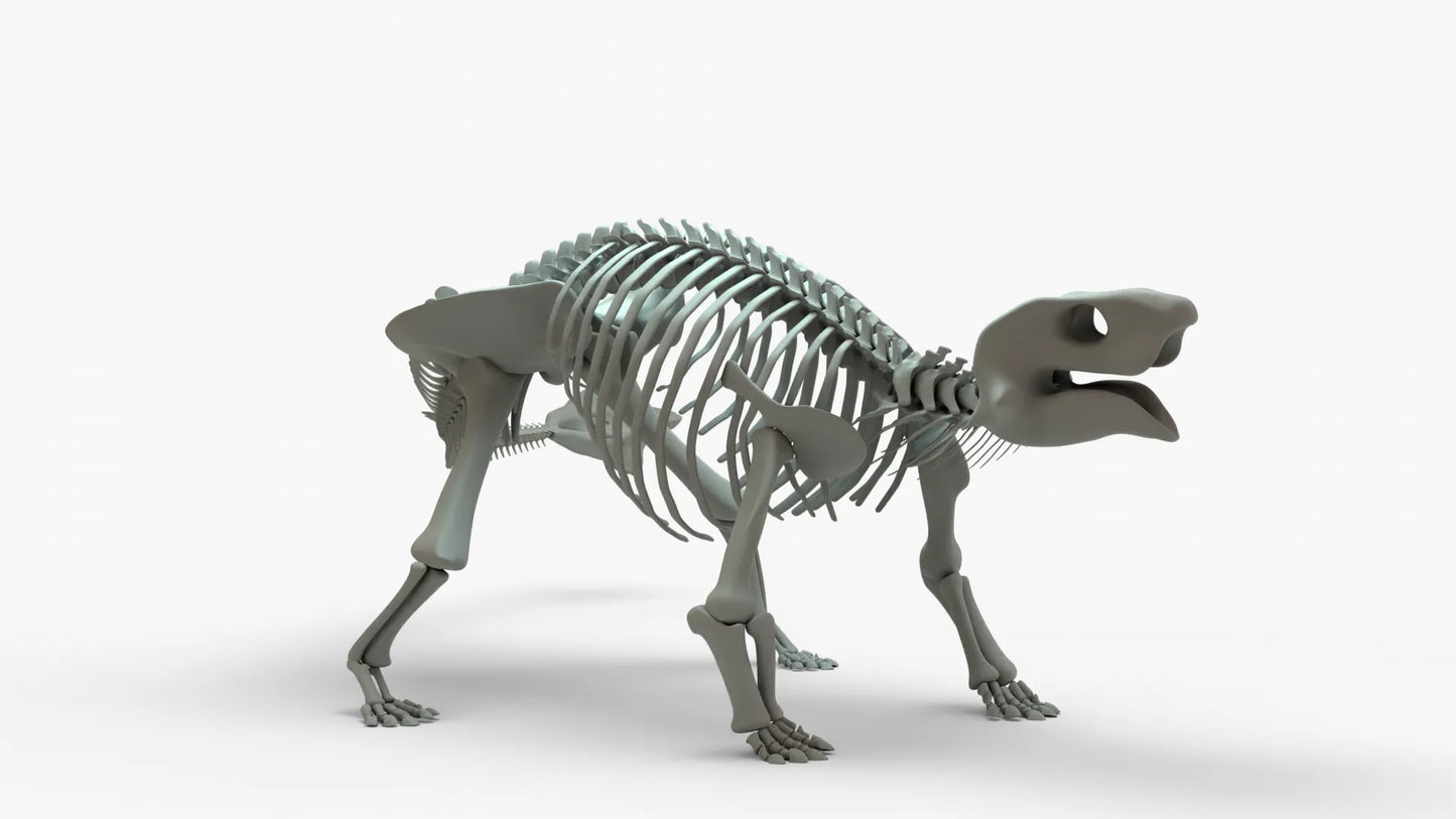 Ankylosaurus 3D Model Rigged Basemesh Skeleton