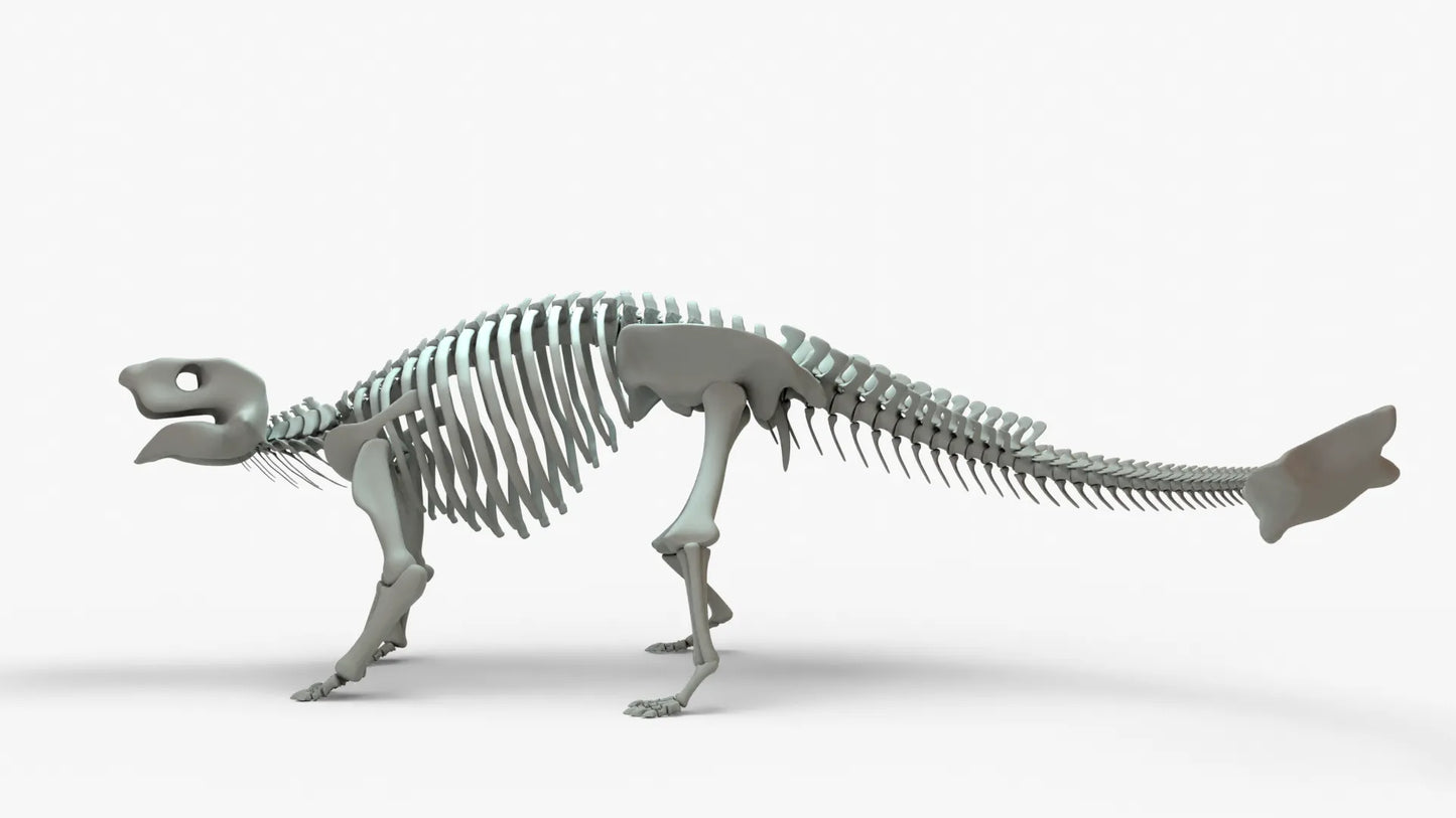 Ankylosaurus 3D Model Rigged Skeleton