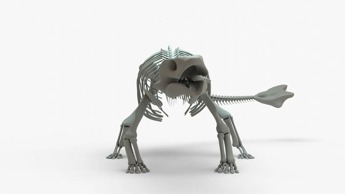 Ankylosaurus 3D Model Rigged Skeleton