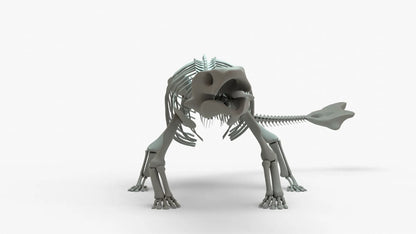 Ankylosaurus 3D Model Rigged Skeleton