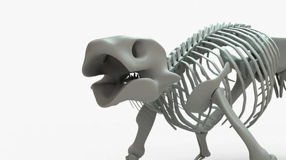 Ankylosaurus 3D Model Rigged Basemesh Skeleton