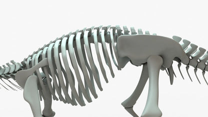 Ankylosaurus 3D Model Rigged Skeleton