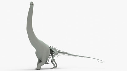 Argentinosaurus 3D Model Rigged Basemesh Skeleton