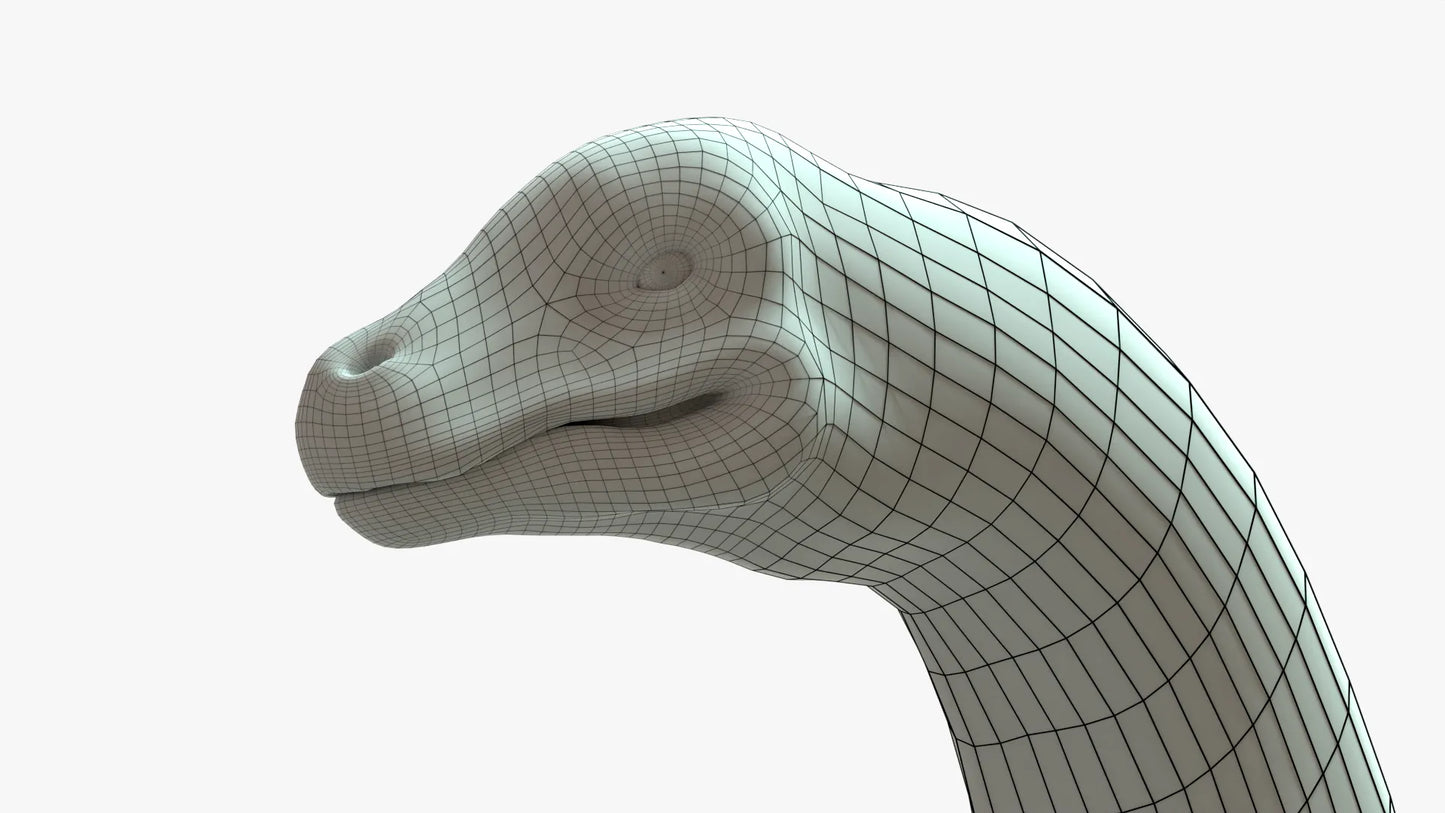 Argentinosaurus 3D Model Rigged Basemesh Skeleton