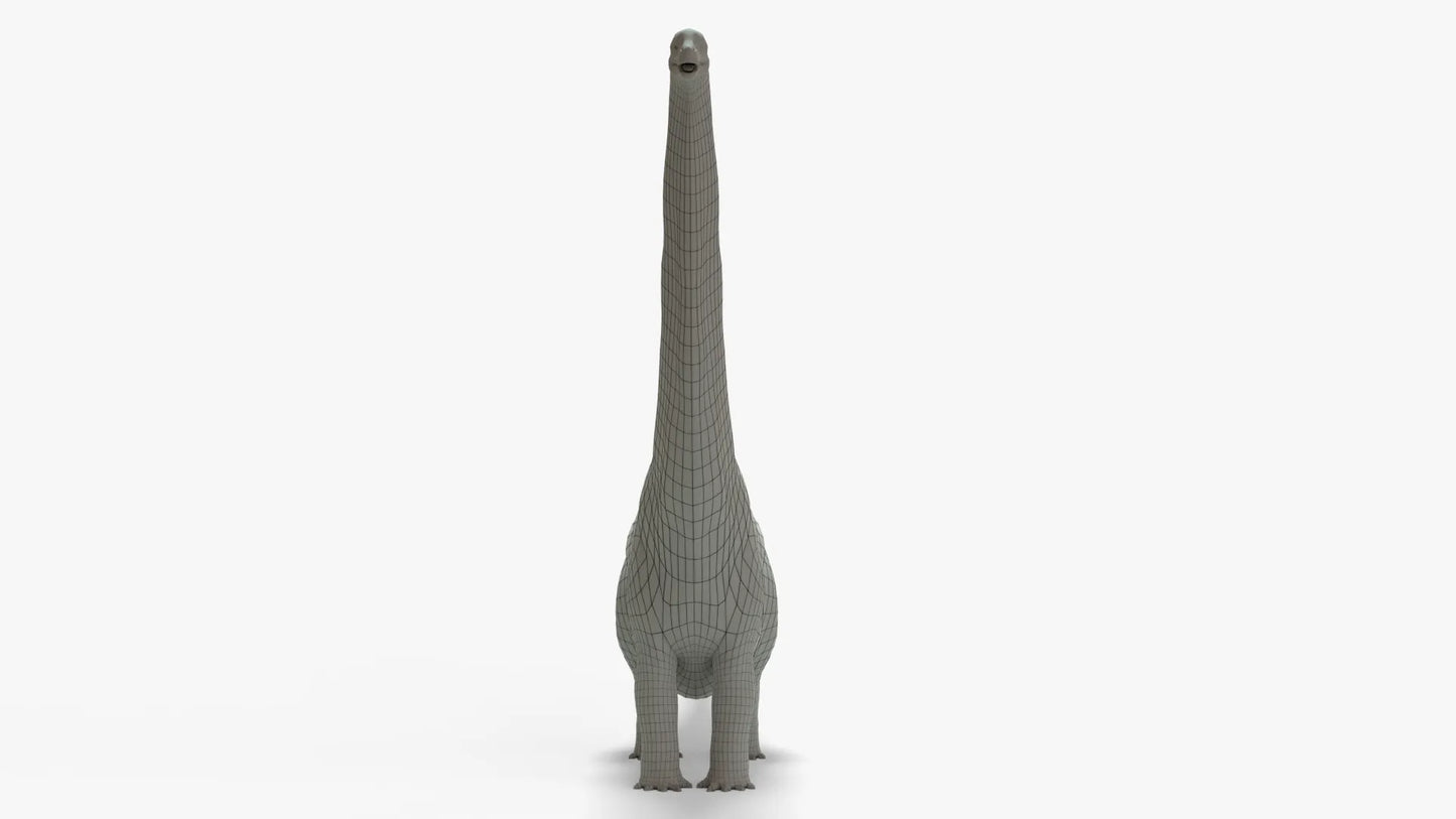 Argentinosaurus 3D Model Rigged Basemesh Skeleton