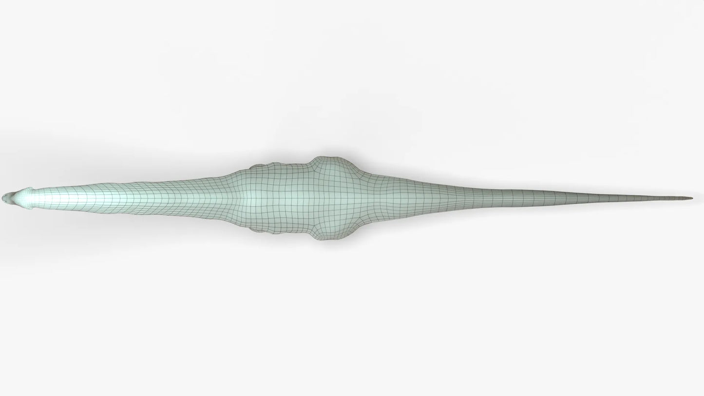 Argentinosaurus Rigged Basemesh 3D Model