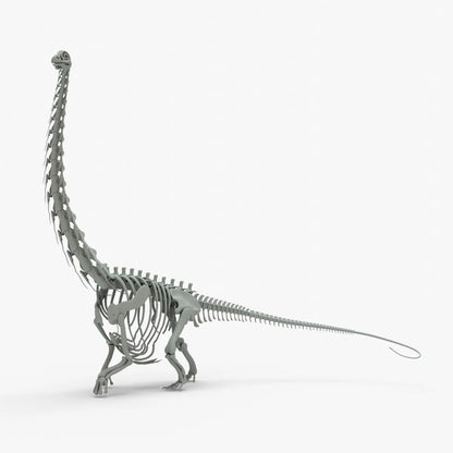 Argentinosaurus Rigged Skeleton 3D Model