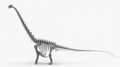 Argentinosaurus Rigged Skeleton 3D Model