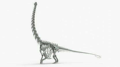 Argentinosaurus 3D Model Rigged Basemesh Skeleton