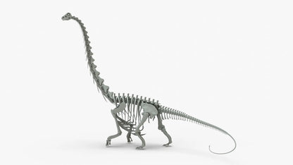 Argentinosaurus Rigged Skeleton 3D Model