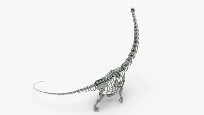 Argentinosaurus Rigged Skeleton 3D Model