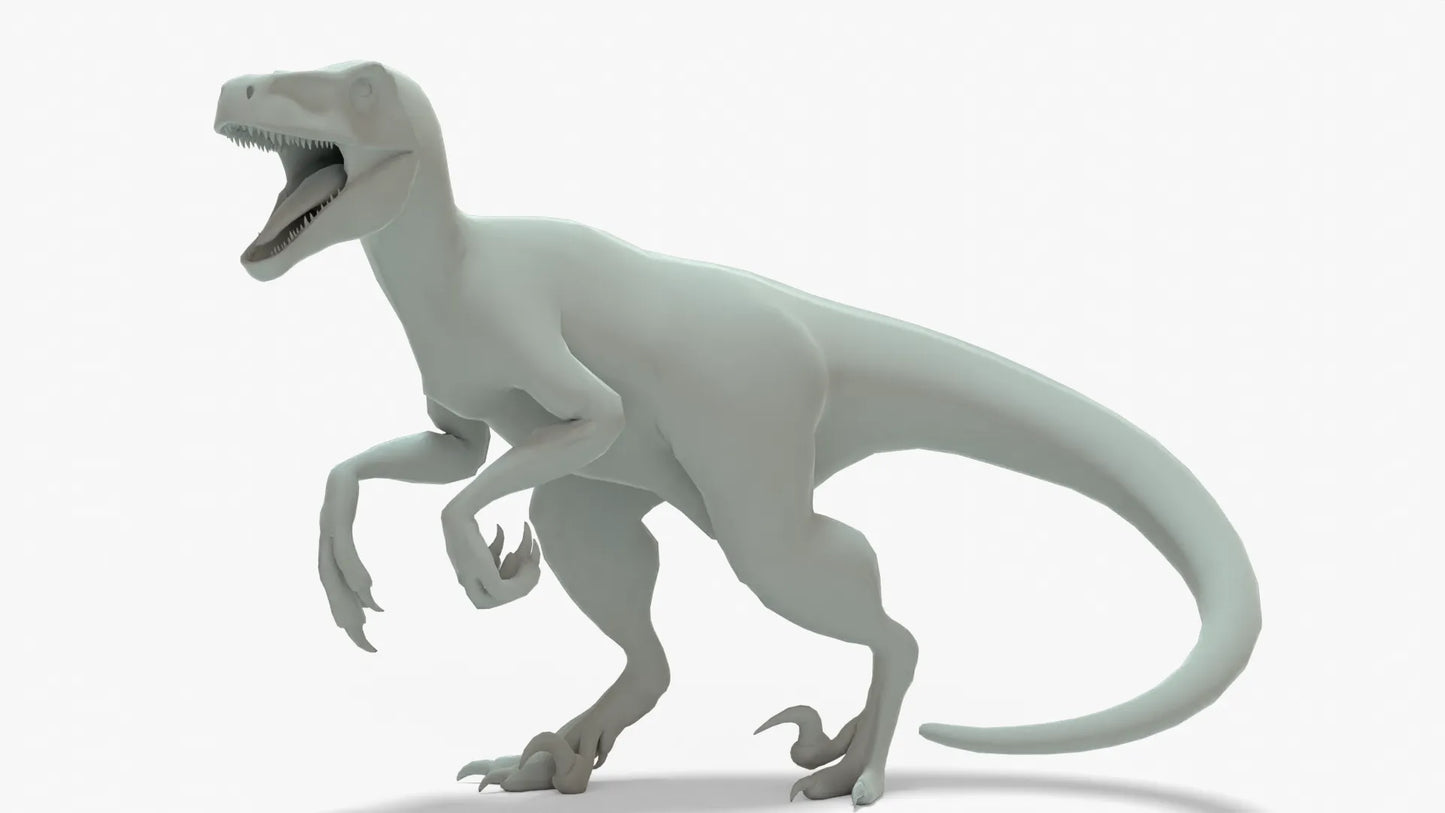 Atrociraptor 3D Model Rigged Basemesh Skeleton