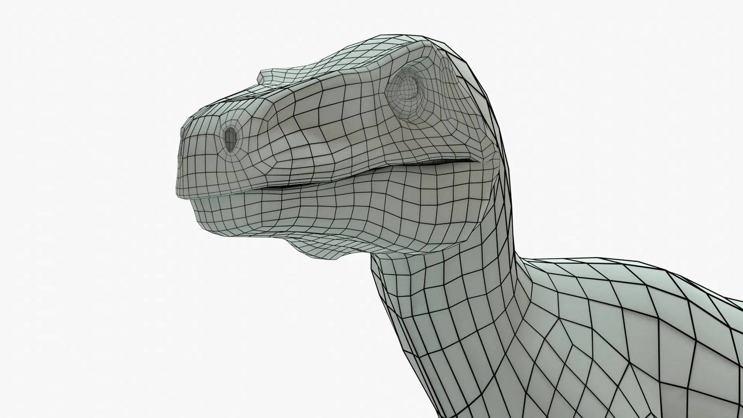 Atrociraptor 3D Model Rigged Basemesh Skeleton