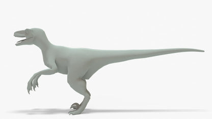 Atrociraptor 3D Model Rigged Basemesh Skeleton