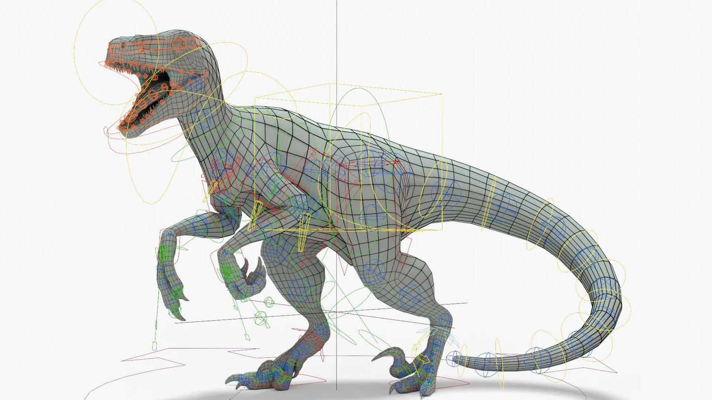 Atrociraptor 3D Model Rigged Basemesh Skeleton