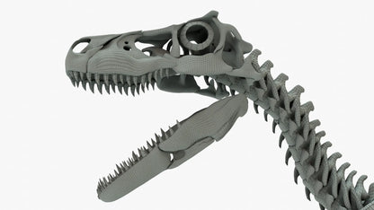 Atrociraptor 3D Model Rigged Basemesh Skeleton