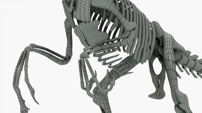 Atrociraptor Rigged Skeleton 3D Model