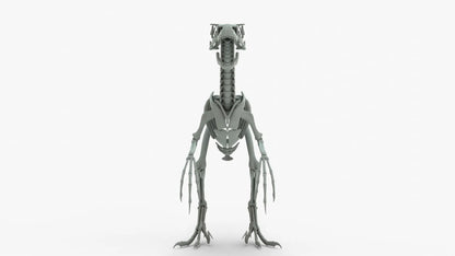 Atrociraptor Rigged Skeleton 3D Model