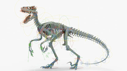 Atrociraptor Rigged Skeleton 3D Model