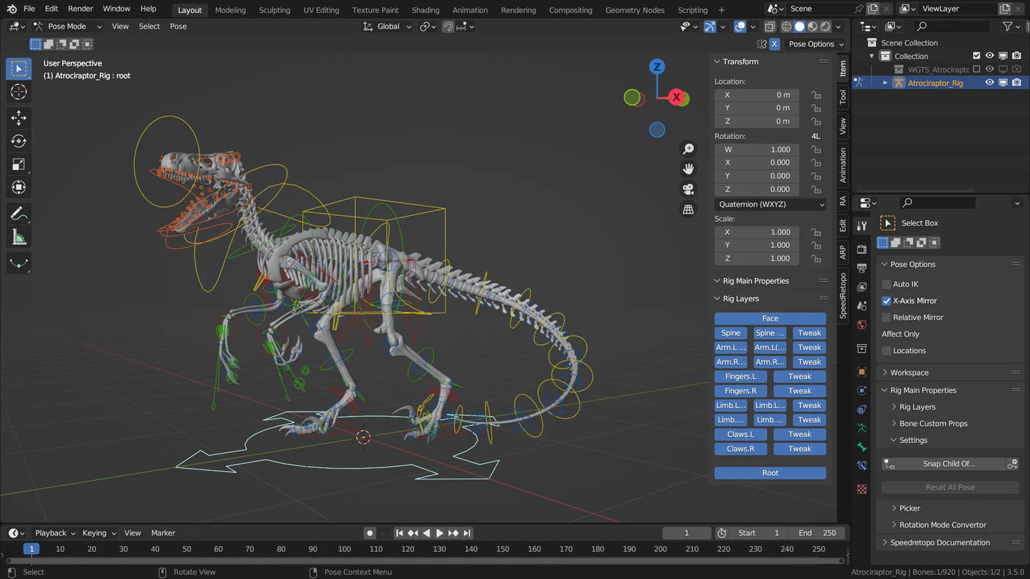 Atrociraptor Rigged Skeleton 3D Model