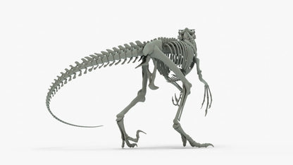 Atrociraptor Rigged Skeleton 3D Model