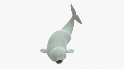 Beluga Whale 3D Model Rigged Basemesh