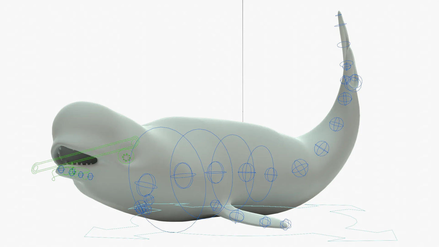 Beluga Whale 3D Model Rigged Basemesh