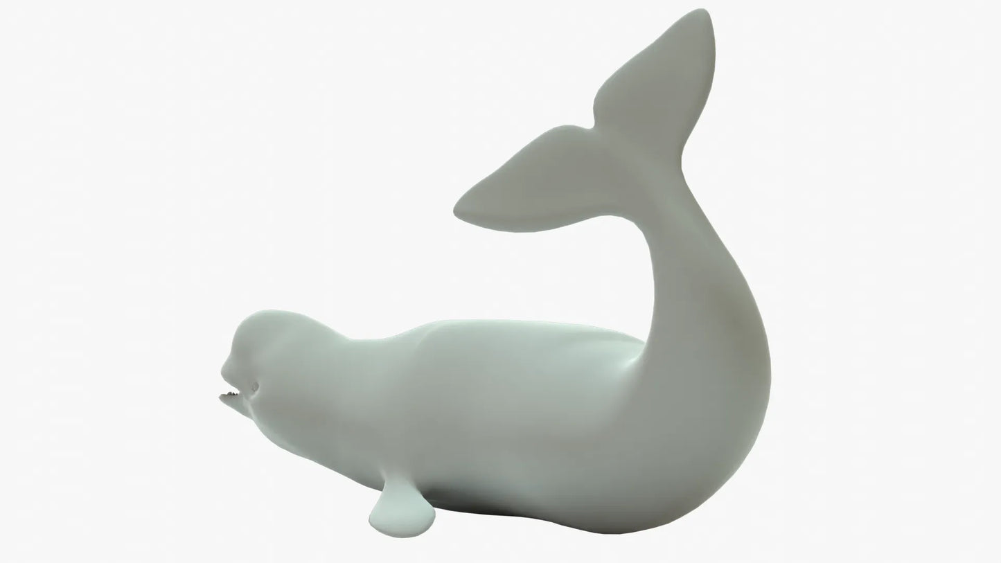 Beluga Whale 3D Model Rigged Basemesh