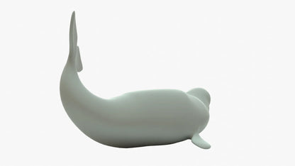 Beluga Whale 3D Model Rigged Basemesh