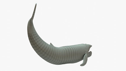 Blue Whale 3D Model Rigged Basemesh