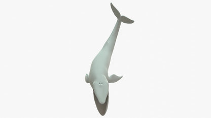 Blue Whale 3D Model Rigged Basemesh