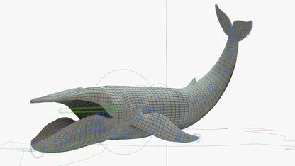 Blue Whale 3D Model Rigged Basemesh