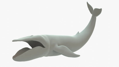 Blue Whale 3D Model Rigged Basemesh