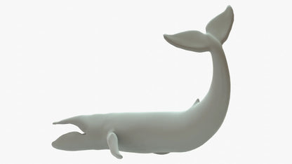 Blue Whale 3D Model Rigged Basemesh