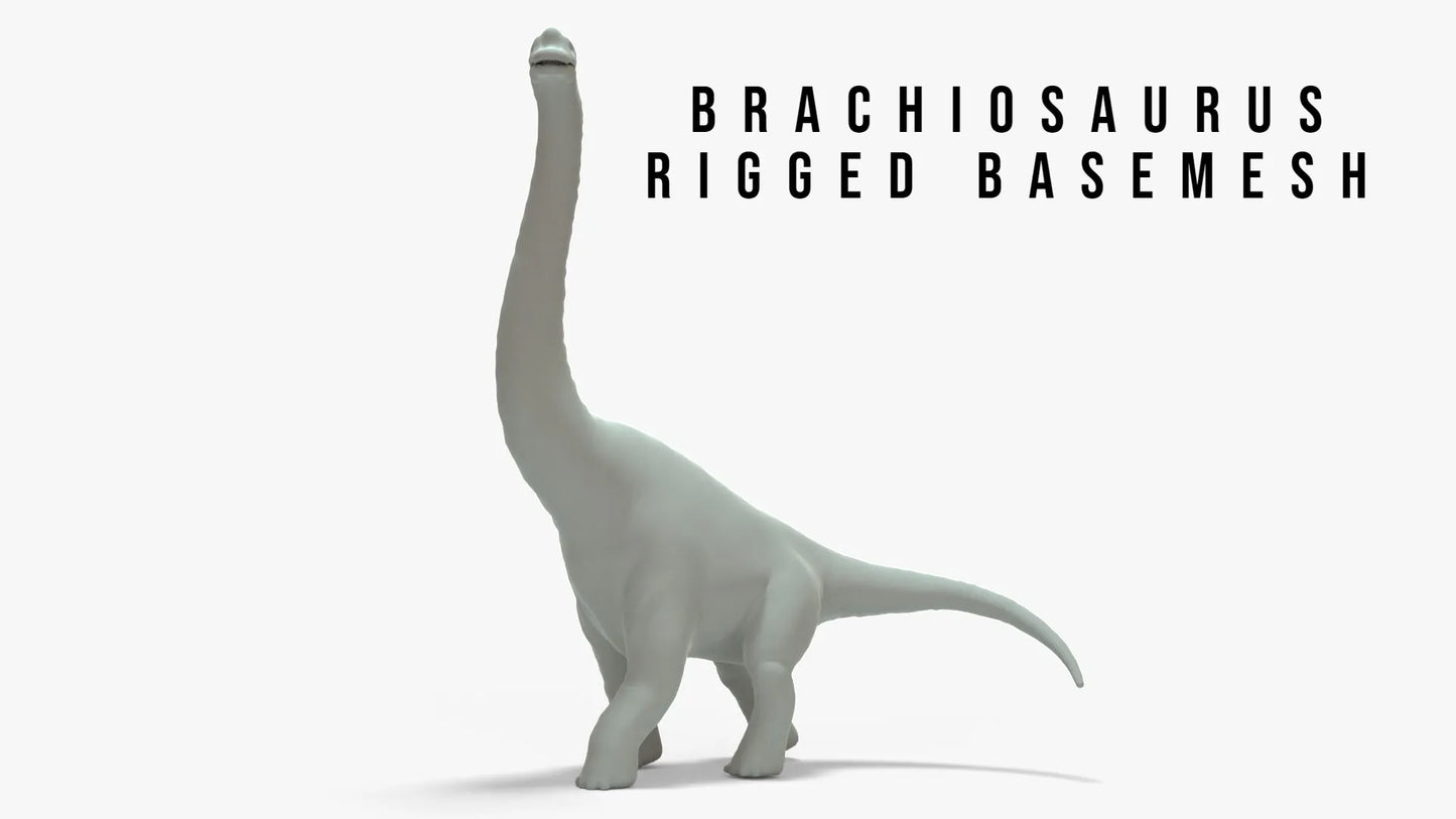 Brachiosaurus Rigged Basemesh 3D Model