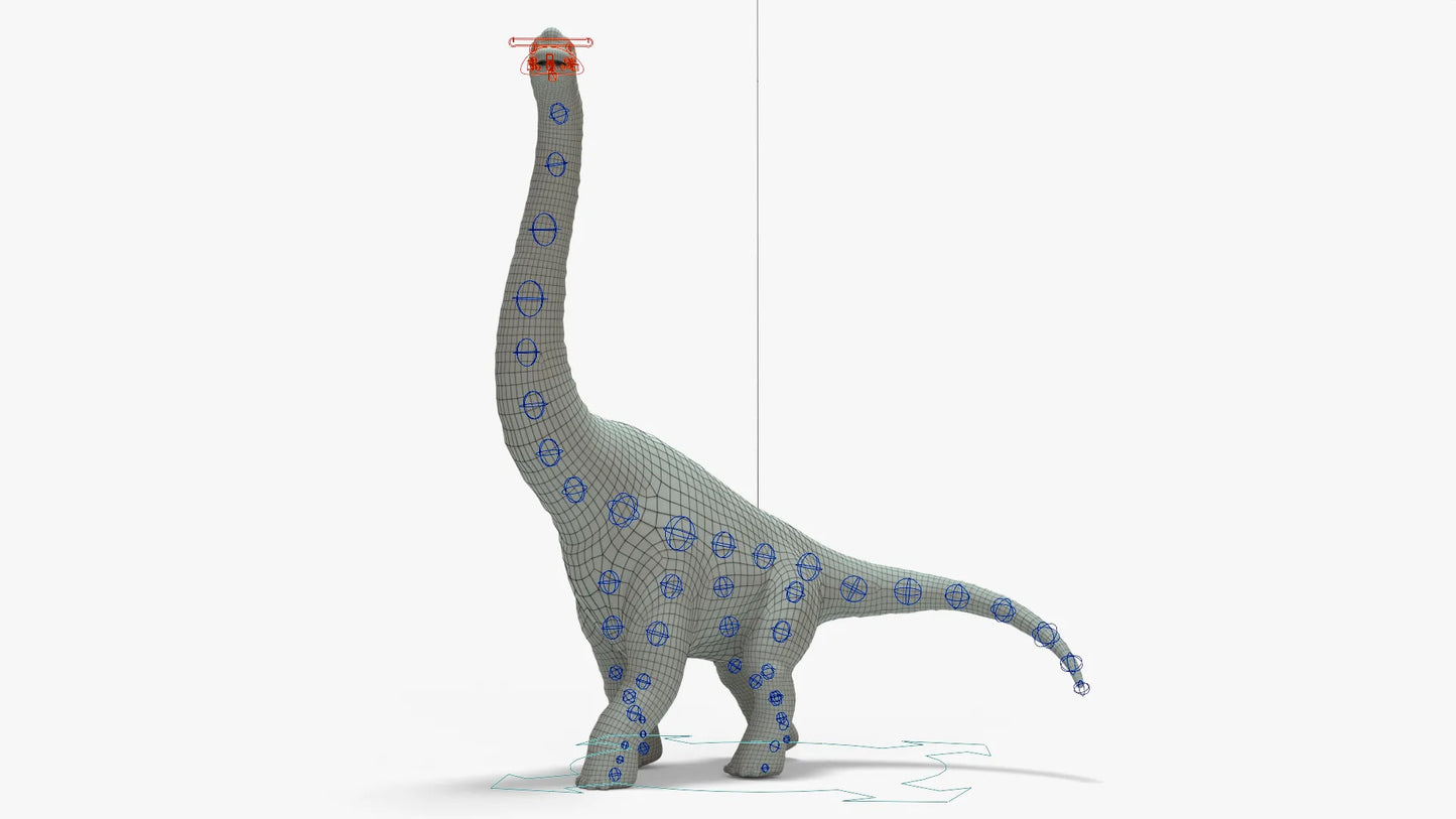 Brachiosaurus Rigged Basemesh 3D Model