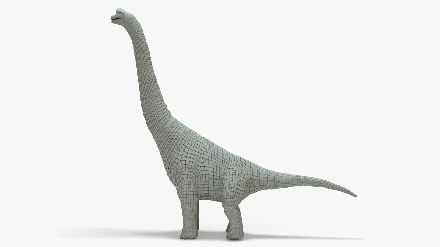 Brachiosaurus 3D Model Rigged Basemesh Skeleton