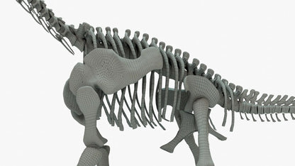 Brachiosaurus 3D Model Rigged Basemesh Skeleton