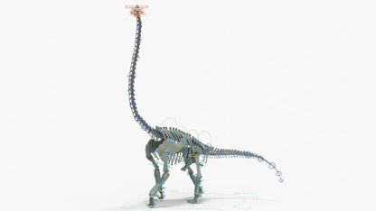 Brachiosaurus Rigged Skeleton 3D Model