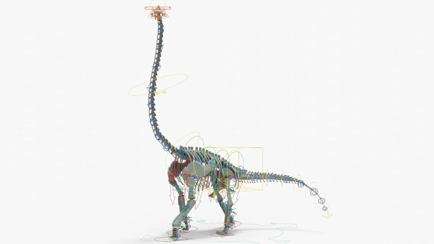 Brachiosaurus Rigged Skeleton 3D Model