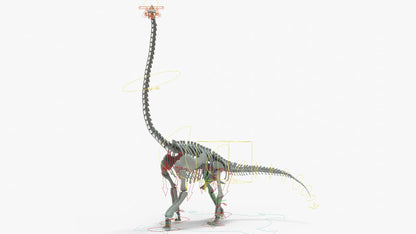 Brachiosaurus Rigged Skeleton 3D Model