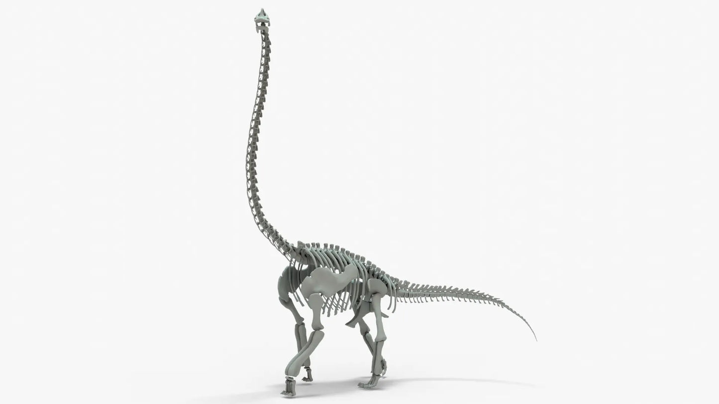 Brachiosaurus Rigged Skeleton 3D Model