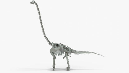 Brachiosaurus Rigged Skeleton 3D Model