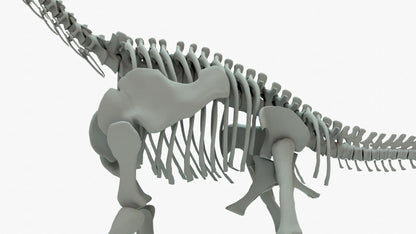 Brachiosaurus 3D Model Rigged Basemesh Skeleton